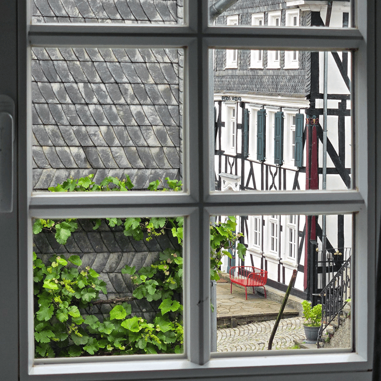 A view outside bedroom window