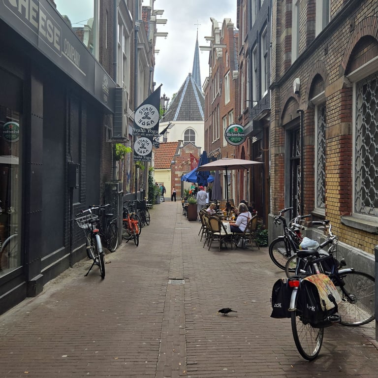 A photo of a typical alley in Amsterdam